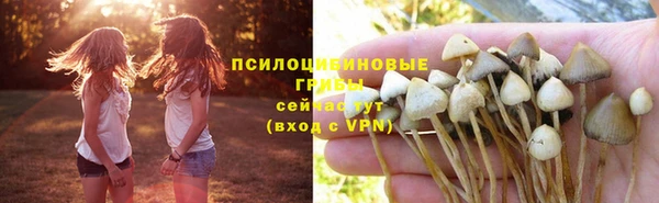 2c-b Володарск