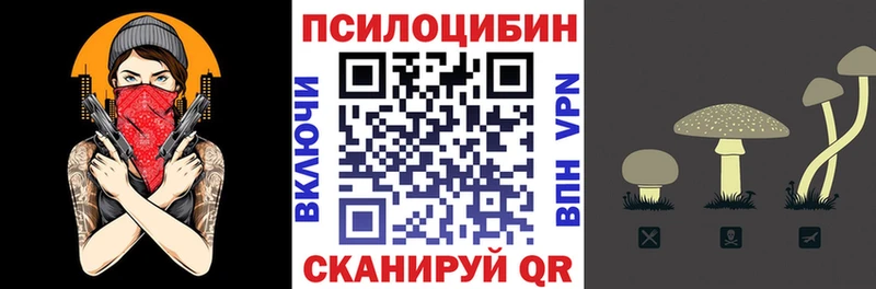 Псилоцибиновые грибы мухоморы  ОМГ ОМГ   Красногорск  что такое наркотик 